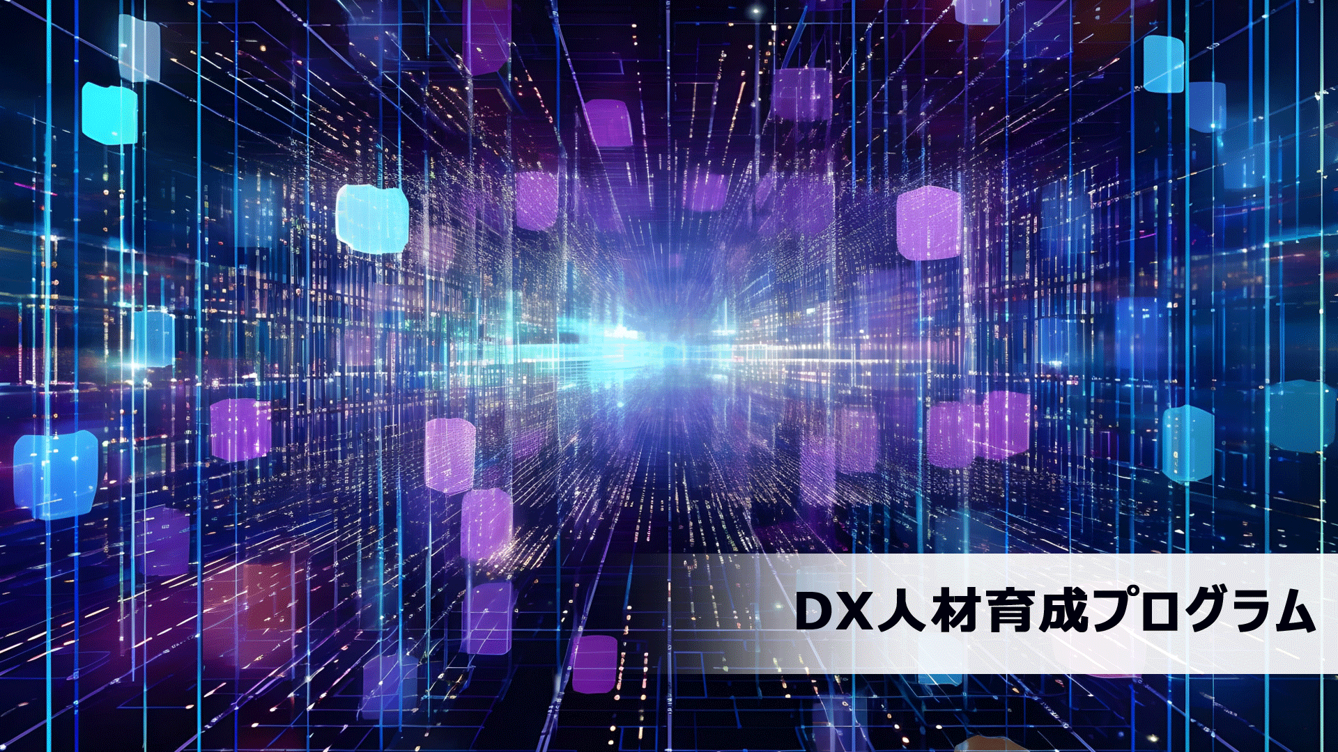 DX人材育成プログラム